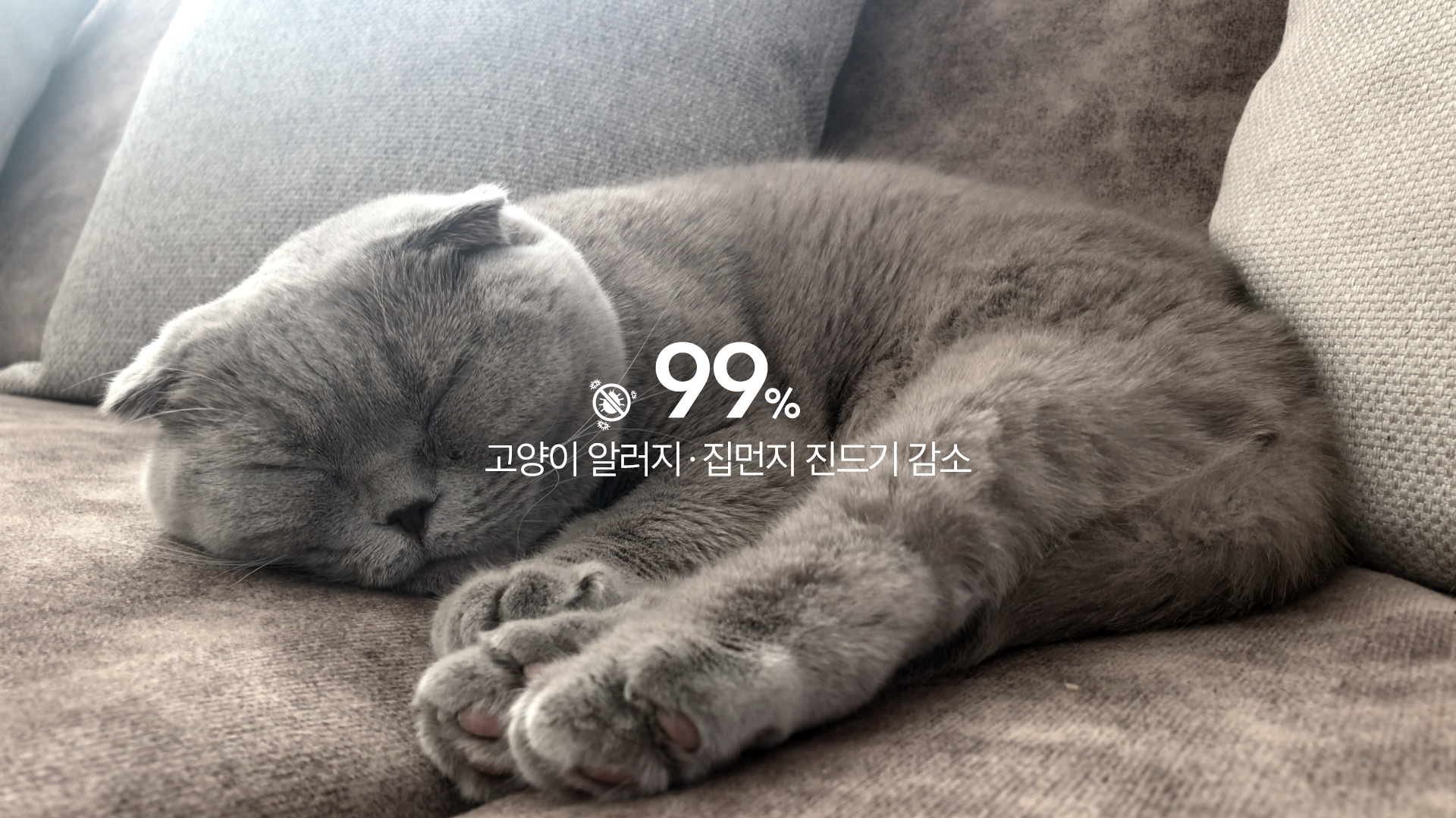 강력한 기본에 특별함을 한 번 더! 더블에어매칭필터 이미지