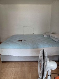 리뷰 사진 1