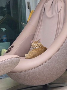 리뷰 사진 1