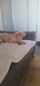 리뷰 사진 1