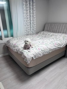 리뷰 사진 1