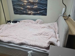 리뷰 사진 1