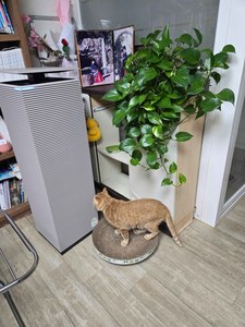 리뷰 사진 1