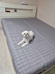 리뷰 사진 1
