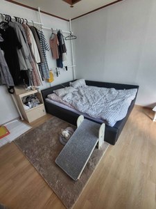 리뷰 사진 1