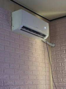 리뷰 사진 1