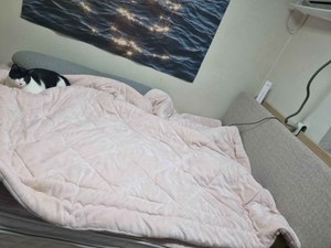 리뷰 사진 2