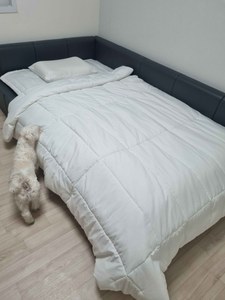 리뷰 사진 1