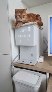 리뷰 사진 1