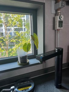 리뷰 사진 1