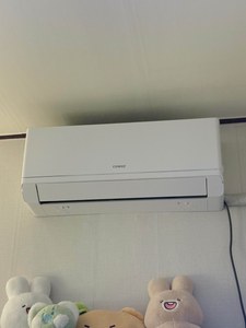 리뷰 사진 1