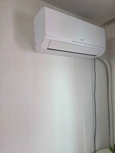 리뷰 사진 1
